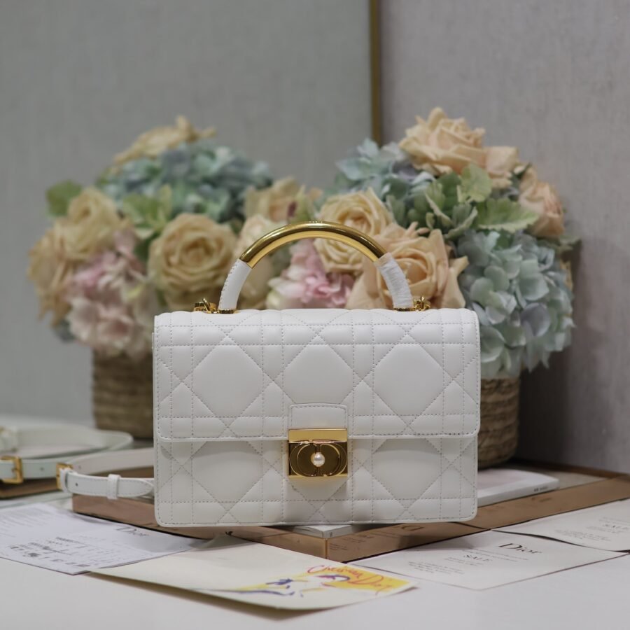 Dior bag  